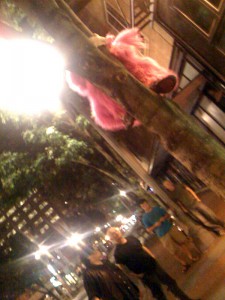 Pink Gorilla PDX Chinatown