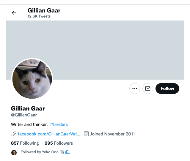 Gillian Gaar twitter header showing image of cat, and words 'writer and thinker.'