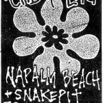 Napalm Beach, Fluid, Snakepit at Blue Gallery