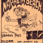 Napalm Beach w Screaming Trees and IBC