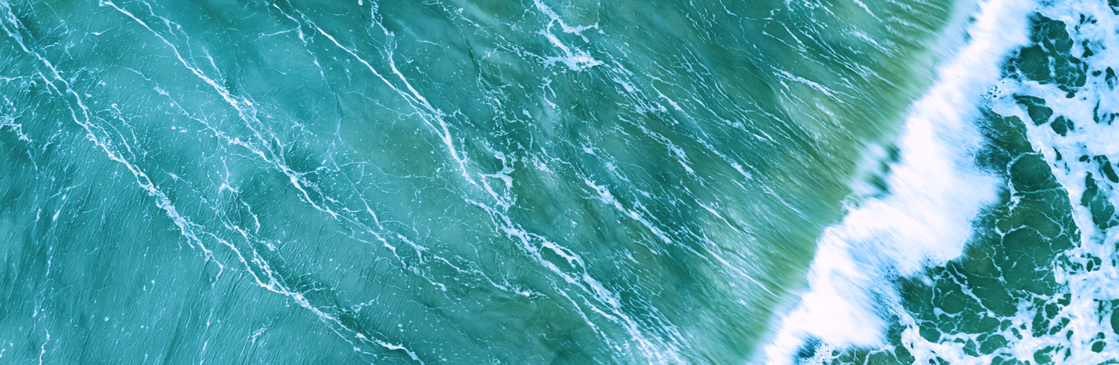 ocean banner image